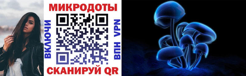 shop состав  купить  цена  OMG   Клин  Псилоцибиновые грибы Cubensis 